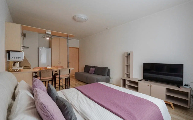 Апартамент UNO APART на Степана Разина 2 40 м²  2 кровати