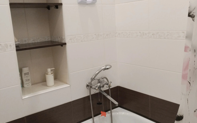 Апартаменты Просторные апартаменты на Новосибирской