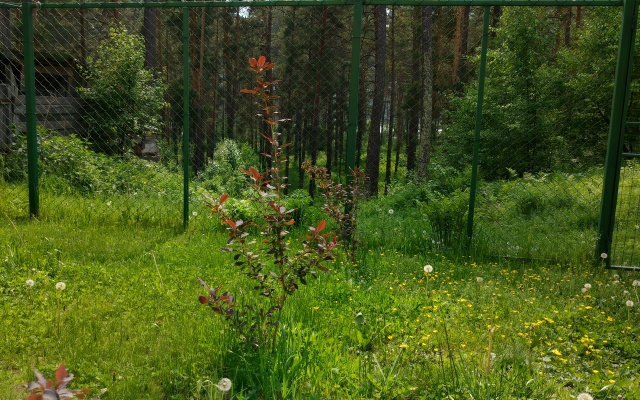 PANORAMA ALTAI Guest House
