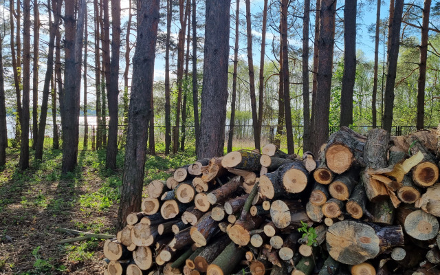 Goretovo Park Glamping