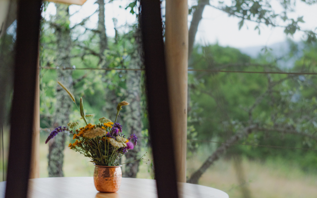 Solnechnosele Glamping