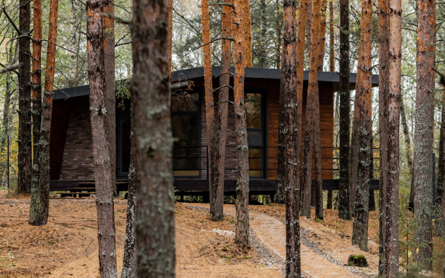 Отель Вино и Сосны