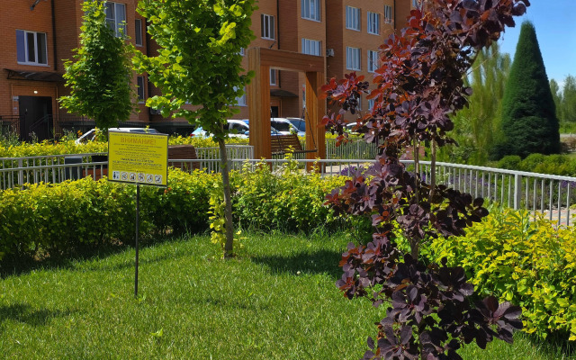 Кlassa Lyuks s Prekrasnym Vidom na Gory Flat