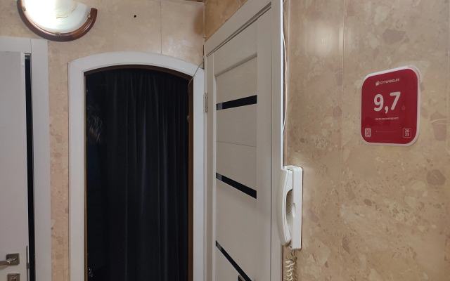 U Ledovogo Dvortsa Apartaments