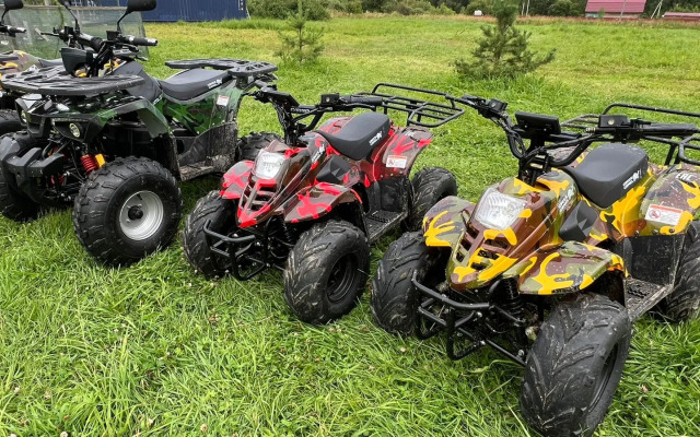 База отдыха Лиса