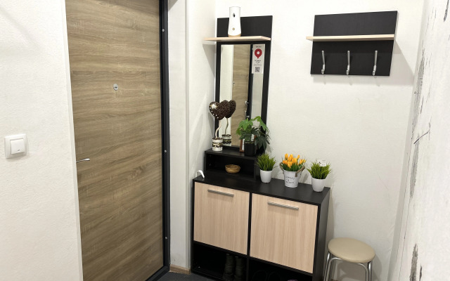 Апартаменты Однокомнатная Квартира на 5 спальных мест