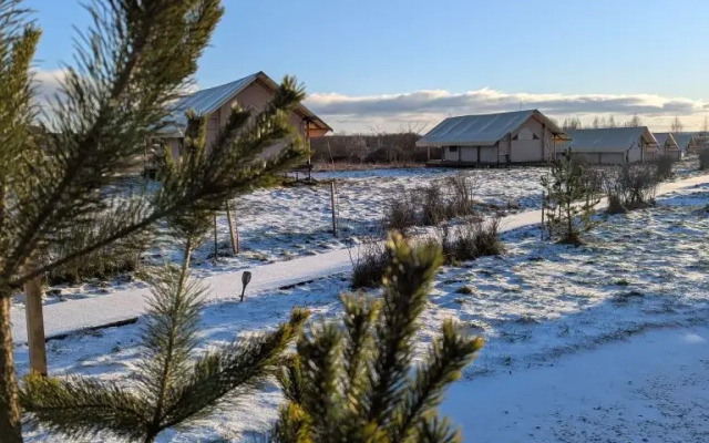 Глэмпинг Носороги