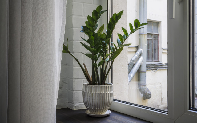 Апартаменты с собственной ванной