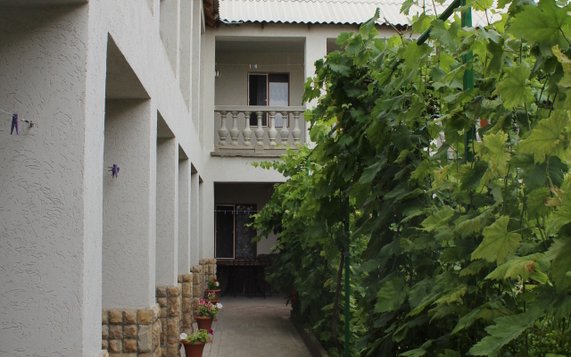 Solnechnaya Orkhideya Guest house