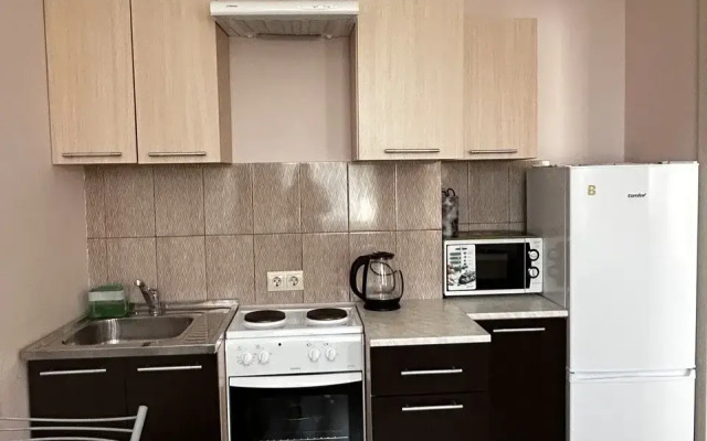 Dvukhurovnevaya Fermerskiy 2/1-60 Flat