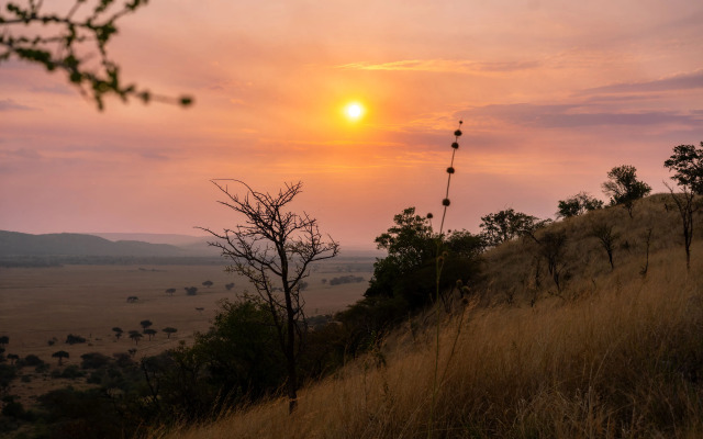 Neptune Serengeti Luxury Hotel