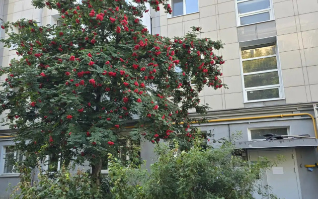 Квартира Современная Квартира в Центре Города