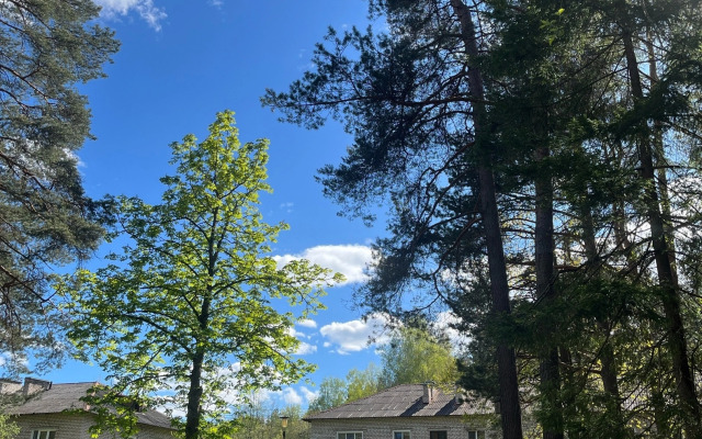 Квартира Семейная в Сосновом Лесу