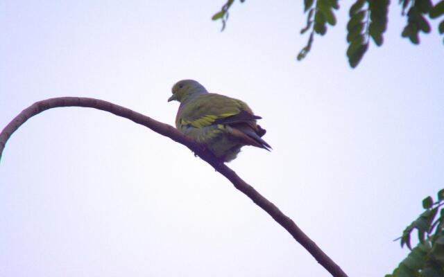 Heina Nature Resort & Yala Safari Hotel Resort