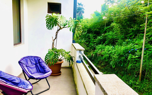 Отель Holiday House Green Gape Batumi