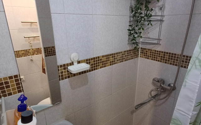 Апартаменты Чайка House на Нижегородская 10