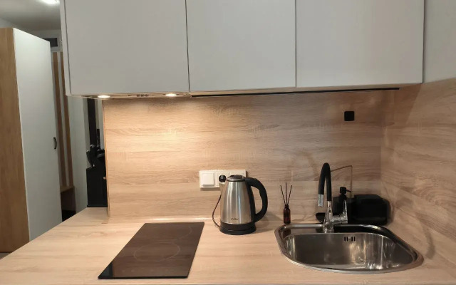 1Q Aperts na Kirova 113/2 Apartments