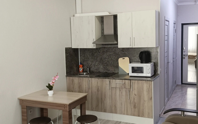 Na Vinogradnoy 22/1B Apartments