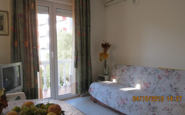 Lazarevic 1/3 Apartments