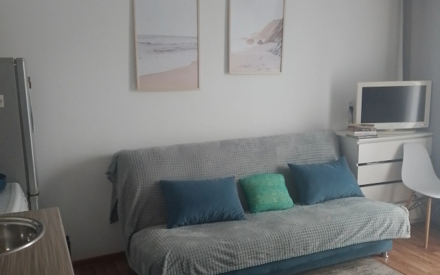Uyutnaya Studiya Flat - Apartment in 科佩伊斯克 - Photo 4