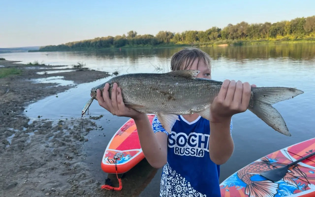 Glamping Glempgeokupol "domik Na Oke" Tarusa