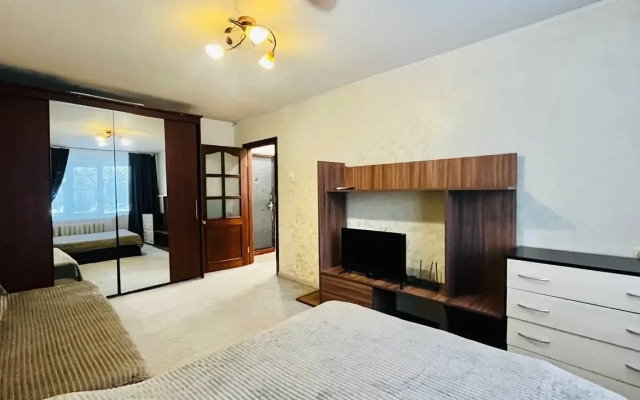 Квартира Мичуринская 143