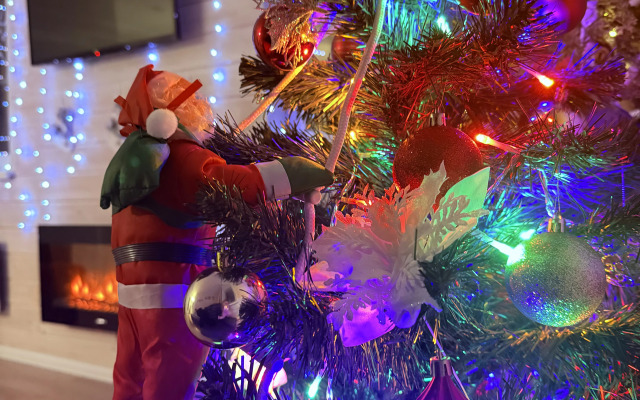 Гостевой дом Ladoga Dreams с сауной