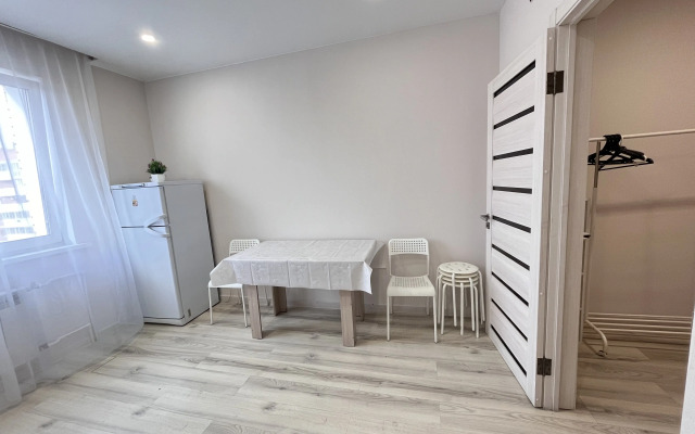 New large one-bedroom apartment on Sovetov Square