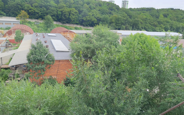 Uyutnaya Teplaya Okolo Lesa V Spalnom Rayone Flat