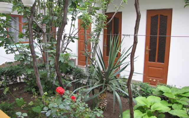 U Chizhika Guest House