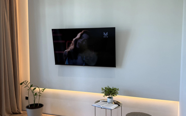 Квартира Люкс Площадь Искусств