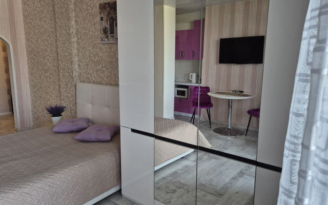 Квартира Студия двухместная с кухней Stukaloff