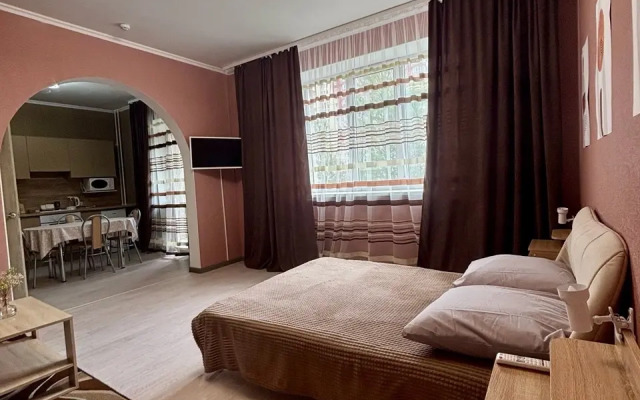 Uyutnaya I Bolshaya Kvartira-Studiya Flat