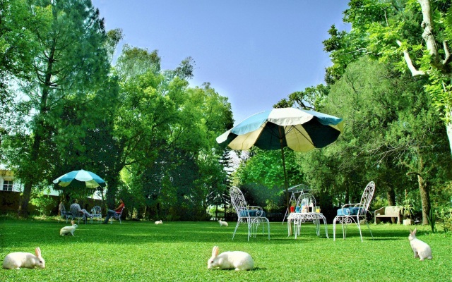 Отель WelcomHeritage Taragarh Palace