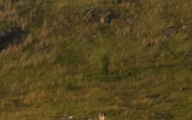 Частный дом Уютный для Комфортного Отдыха