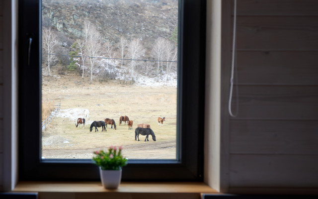 Гостевой Дом Апарт А Фрейм Горный Алтай