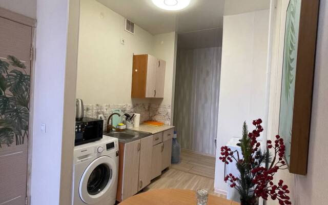Studiya ryadom so Stolichnym rynkom g. Yakutska Flat