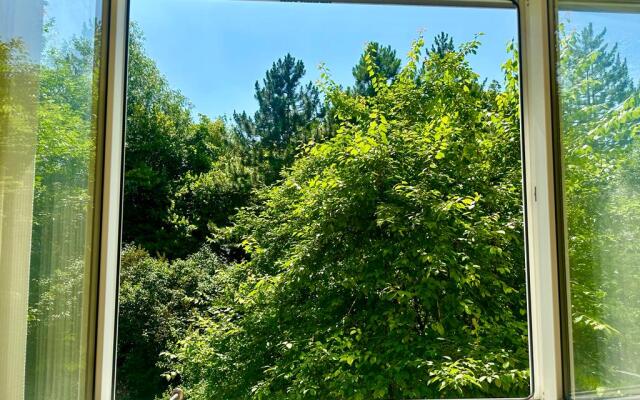 Квартира Уютная Трёшка