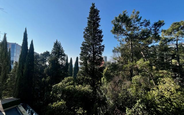 Апартаменты Светлана 2