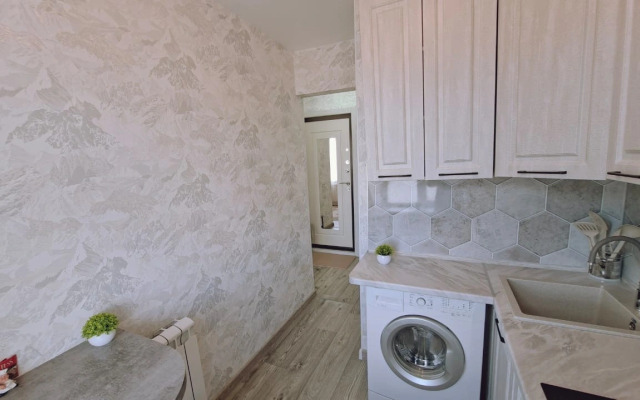 Odnomestnye apartamenty v tsentre Flat