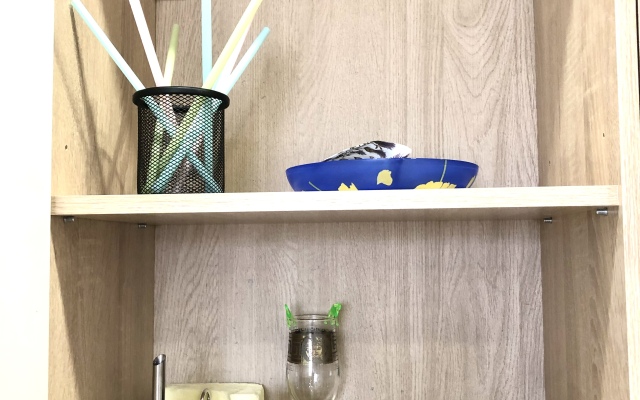 Evro Studiya v Rayone Parka Galitskogo Apartments