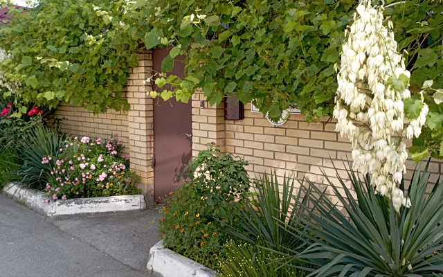 Lotos Guest house