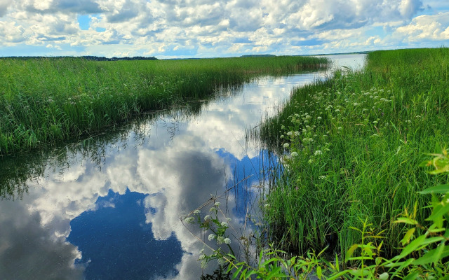 Частный дом в деревне Сосно 104