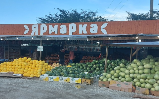 Morskaya 51 Guest House