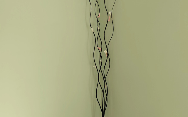 Na Gorykogo 50 Flat
