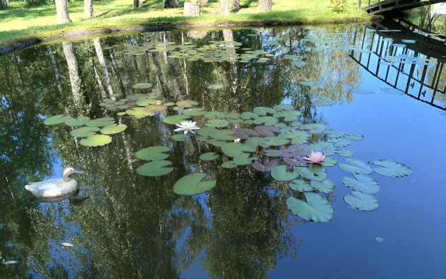 Частный Дом Уютный Домик в Лесу у Пруда