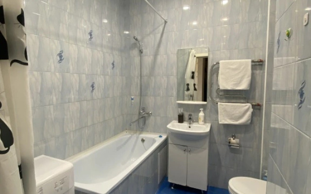 Апартаменты Центральный парк 1