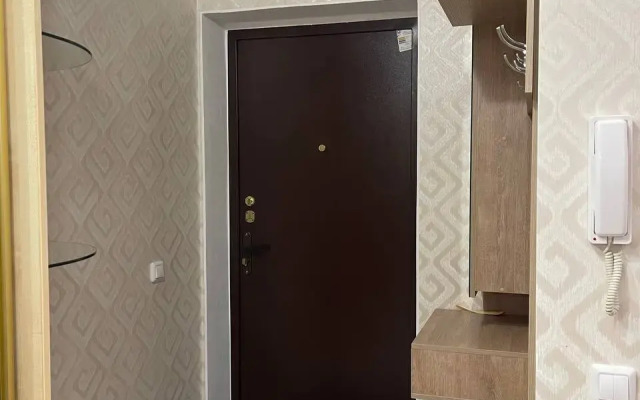V Tsentre Goroda Flat