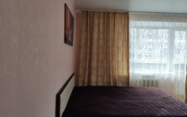 V Gostyakh U Lilii Apartments