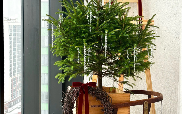 Квартира Студия ЖК Геометрия